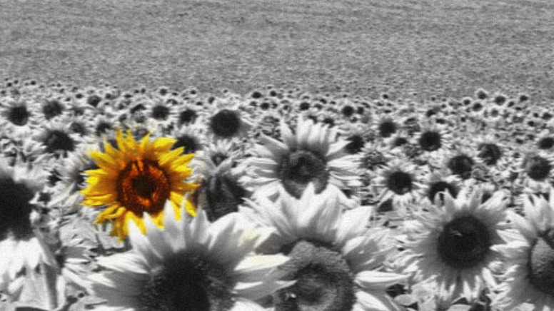 artist_img_68b1436b78c93